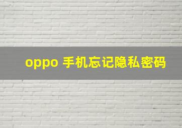 oppo 手机忘记隐私密码